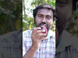 எலிகளையே பிடித்து சாப்பிடும் செடி! | Nepenthus