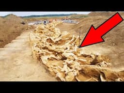 12 Most Amazing Archaeological Finds