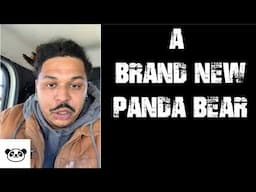 Daily IBMOR #206: Deante Kyle Another Panda Bear