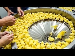 20 Products You Won’t Buy Ever Again Knowing How They Are Made