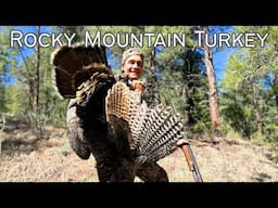 "Spring Turkey Hunt in the Colorado Rockies | Mountain Gobbler Adventure!"