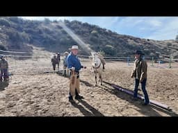 Agua Dulce Horsemanship Clinic - Winter 2025