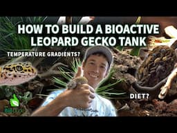 How to set up a bioactive Leopard Gecko terrarium 2025 UPDATED