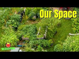 See How Our Garden Changed in 4 Years!