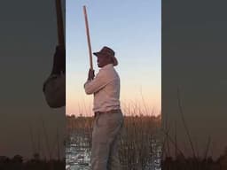 The Wonderful Rhythm of  Bushman Language - Listen