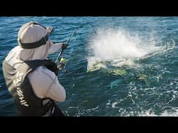 The Hunt For the Unicorn | Fishing Short Film