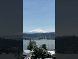 MT HOOD 🏔️ (great to be back) 🤙🌲#shorts #shortsvideo #mountains #outdoors #washington #oregon