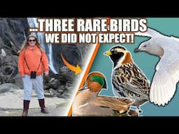 THREE RARE BIRDS WE DID NOT EXPECT! ....AND MORE!
