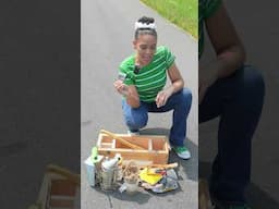 Should We Make This Beekeeping Toolbox a Real Thing? #beekeeping #toolbox #hivetools