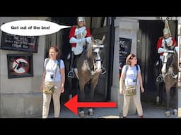 TRESPASSING! She stepped inside the box then got told off by the King's Guard!
