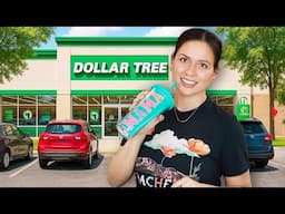 It Got WEIRD! The New Dollar Tree Products You NEED