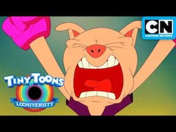 Squash Me If You Can! | Tiny Toons Looniversity | Cartoon Network