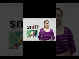 s blend words/sn words #levelupphonics  #shorts #phonics #vowels