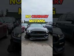 This Shelby GT350 Deserved Better 💔