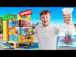 BUYING *NEW* PREDATORY FISH!!