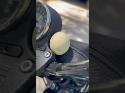 What came first? The Sportster or the egg? #sportster #xl883n #egg #motorcycles #easteregg