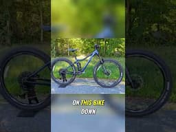 Live & Bold Bike Review: Is It Worth the Weight? Let's Discuss!