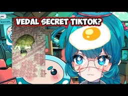 Shoomimi's Last DM to Vedal