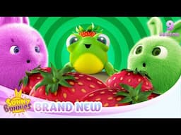 Mischievous Mimi - SUNNY BUNNIES | BRAND NEW EPISODE | Season 9 | Cartoons for Kids