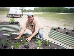 What We are Planting in JUNE! (We're So Behind This Year!)