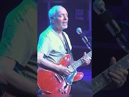 🎸 Peter Frampton - Georgia On My Mind - (Ray Charles cover) - Live