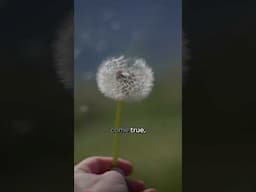 Your comfort zone is killing your timeline.And one small quantum leap can change your entire life.