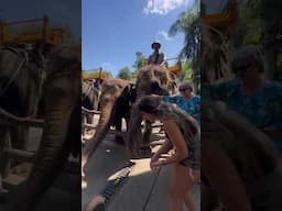Visitamos el zoo de bali 🌴