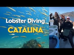 Lobster Dive Catch and Cook (Catalina Island)