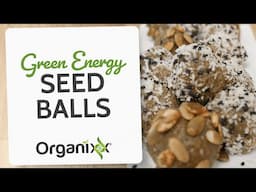 Green Energy Seed Balls