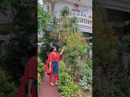 Spending some beautiful moments with beautiful garden #lipshaworld #houseplants #shortsviral