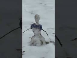 #snowman #snow #snowmelt #boston #weather