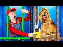 Mario Adopted a Homeless Dog! Heartwarming Adventure Begins 🎮💖🐶