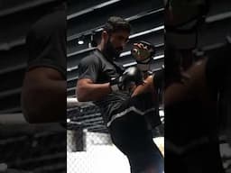 Shazaib Rind is Ready to Become the Undefeated Champion of the LW Division 👀