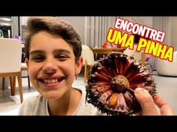 BENÍCIO ENCONTROU UMA PINHA NO BOSQUE