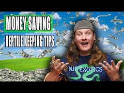 SAVE MONEY Keeping Reptiles!