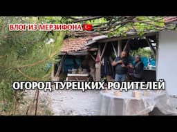 Короткий обзор огорода родителей/домашние дела/видео никак не хочет грузится