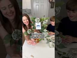 DIY Money Tree for Father’s Day or Graduation Gifts #Shorts #MoneyTree #MoneyGrowsOnTrees #EasyDIY