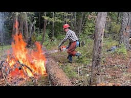 This is How Forest Fires Get Started
