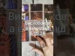 вислобокова выкидыш