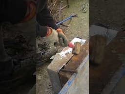 C'est excellent ! Une grande première pour nous en pêche à l'aimant