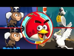 Angry Birds Rio 2 - All Bosses (Boss Fight)