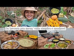 Fui na roça buscar os ingredientes para o almoço/ muita fartura e comida boa/rotina