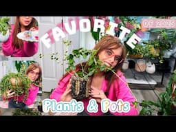 2025 Favorites ! Plants + Pots 🪴😍