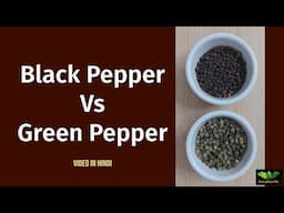 Black Pepper Vs Green Pepper | Pepper Whole | Kaali Mirch | Everyday Life # 354