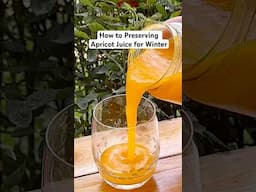 How to preserving apricot juice for winter!