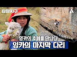 [예고] 안데스에는 잉카 문명이 숨쉬고 있다! 잉카의 마지막 다리 | 강철지구 33 회