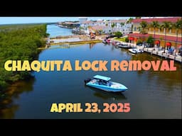 Chiquita Lock Removal Update 4/23/25 and Schools of Fish!