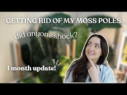 Getting Rid of My Moss Poles | 1 Month Update 🌿
