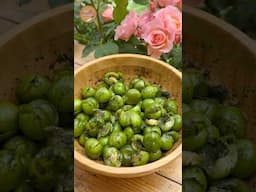 Trending Azerbaijani Summer Snack😍