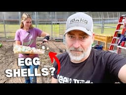 Will it WORK?? How We're Fixing Our Off-Grid Greenhouse's Soil